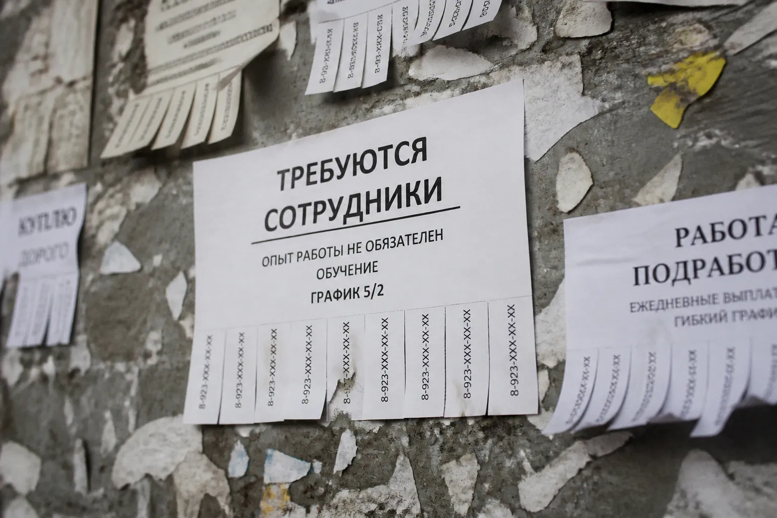 Кризис трудоустройства выпускников: почему диплом перестал быть гарантией успеха