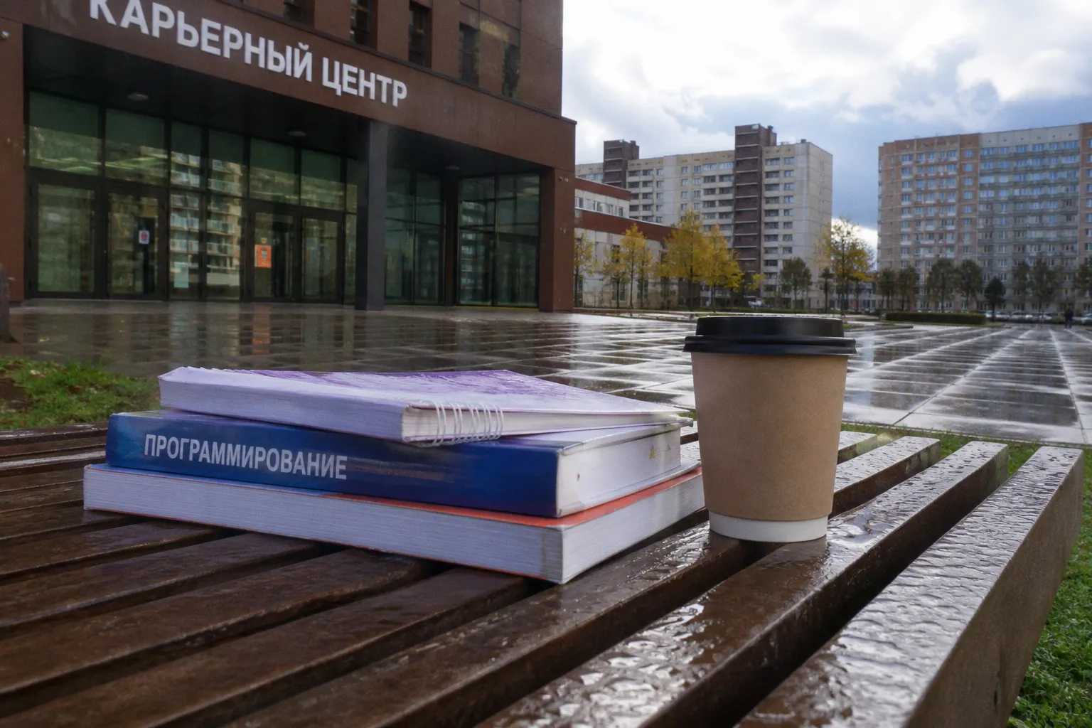 Стоит ли записываться на новые курсы для разработчиков от Meta и Coursera